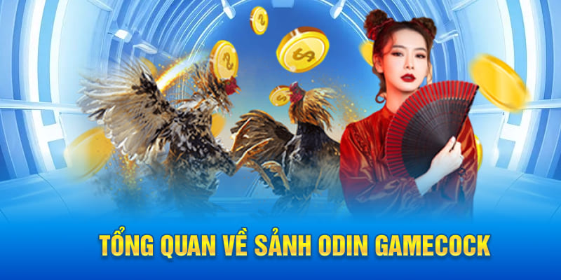 Tổng quan về sảnh Odin gamecock