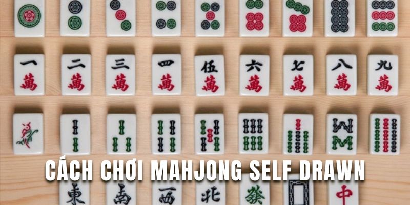 Cách Chơi Mahjong Self Drawn - Từ Cơ Bản Đến Nâng Cao