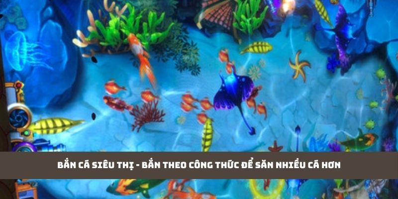 Bắn cá siêu thị - bắn theo công thức để săn nhiều cá hơn