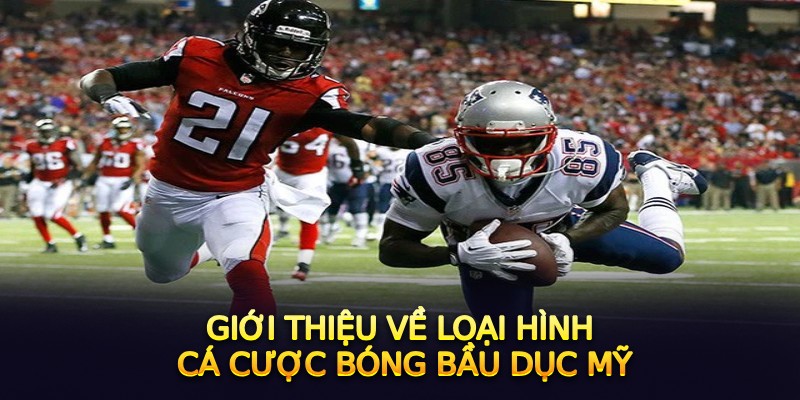 Cá cược bóng bầu dục Mỹ NAIA Football National Championship tại Hi88