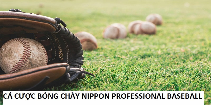 Tổng quan cá cược bóng chày Nippon Professional Baseball