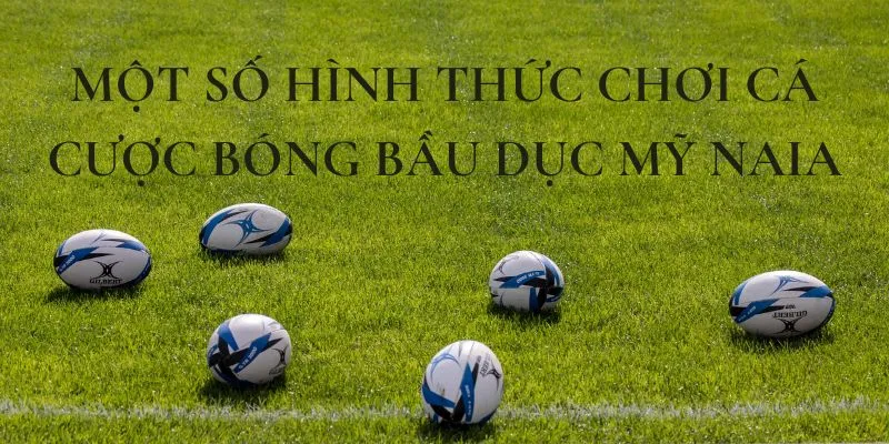 Một số hình thức chơi cá cược bóng bầu dục Mỹ NAIA