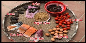 Các loại mồi cho gà đá