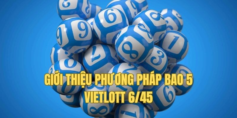 Sơ lược về cách chơi bao 5 Vietlott 6/45