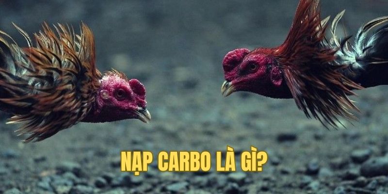 Nạp Carbo hiệu quả và chính xác với bí kíp chuyên gia