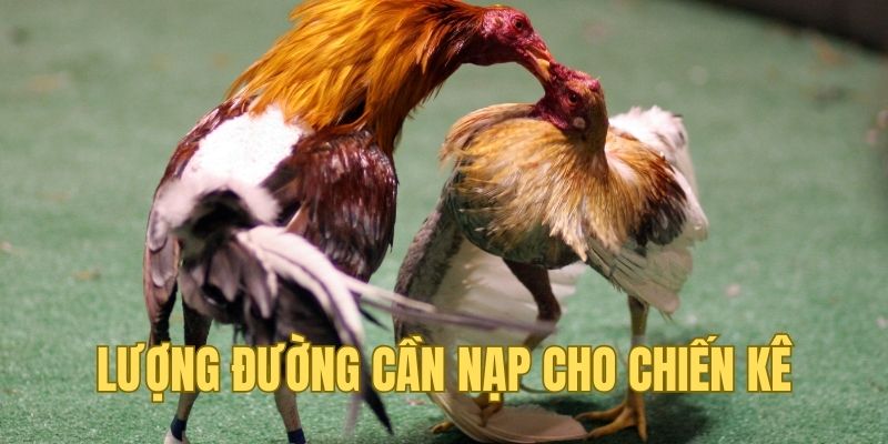 Lượng Carbo chuẩn cần nạp vào cho chiến kê