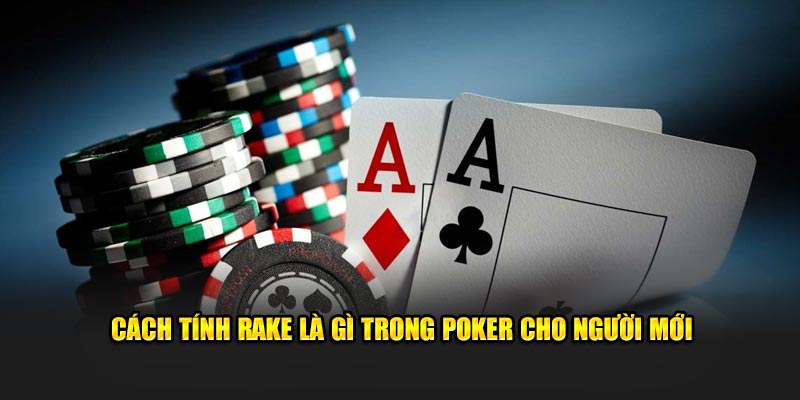 Cách tính Rake là gì trong Poker cho người mới