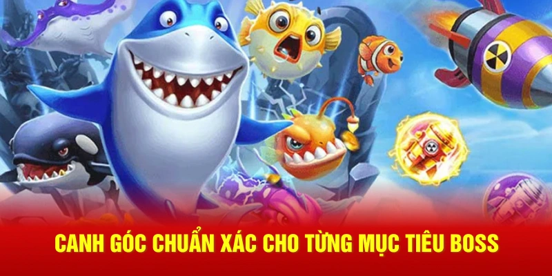 Canh góc chuẩn xác cho từng mục tiêu boss