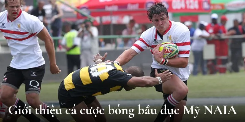 Giới thiệu cá cược bóng bầu dục Mỹ NAIA Football National Championship