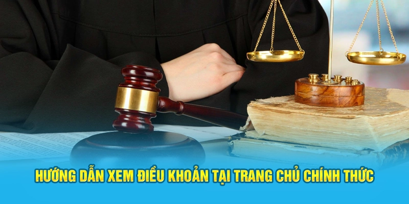 Hướng dẫn xem điều khoản tại trang chủ chính thức