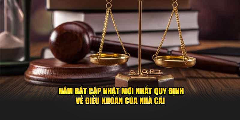 Nắm bắt cập nhật mới nhất quy định về điều khoản sử dụng Hi88