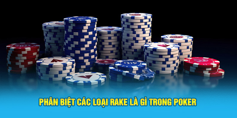 Phân biệt các loại rake là gì trong poker