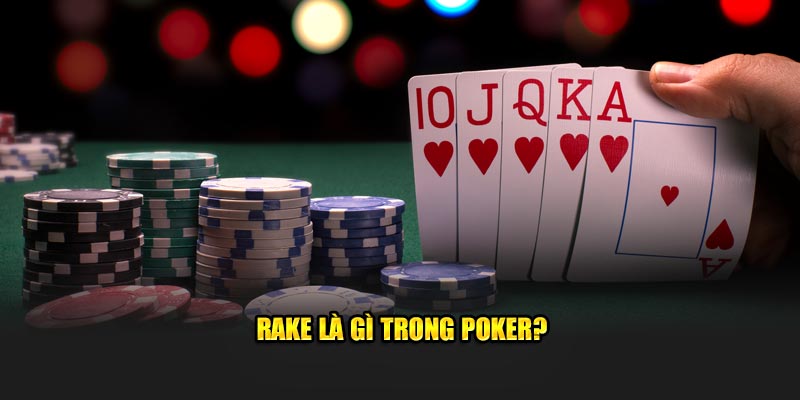 Rake là gì trong Poker?