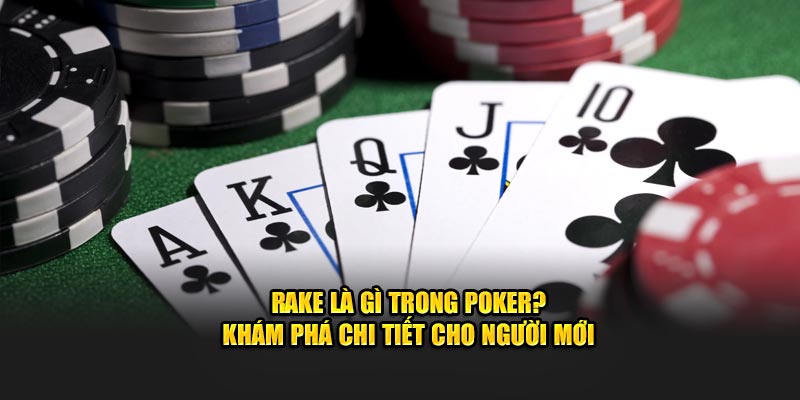 Khám Phá Rake Là Gì Trong Poker? Khám Phá Cho Người Mới