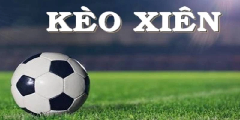 Sảnh M8BET cung cấp kèo xiên