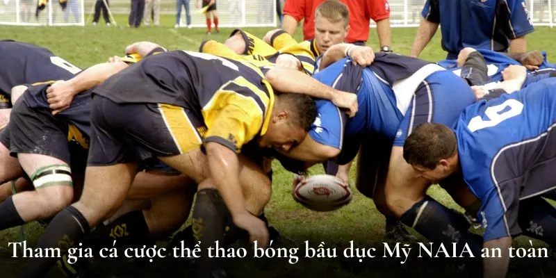 Tham gia cá cược thể thao bóng bầu dục Mỹ NAIA an toàn