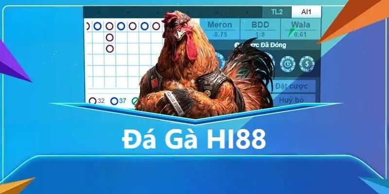 Theo dõi các giải đấu vảy gà chọi thần kê trực tiếp tại Hi88