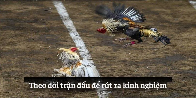 Theo dõi trận đấu để rút ra kinh nghiệm