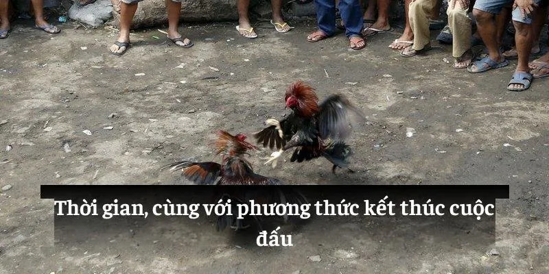 Thời gian, cùng với phương thức kết thúc cuộc đấu