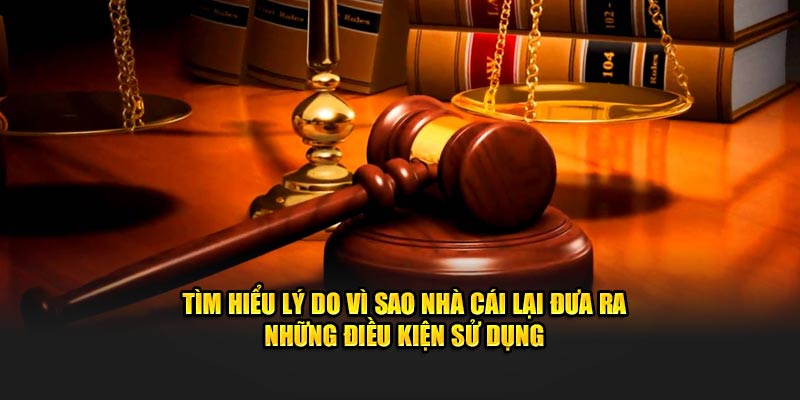 Tìm hiểu lý do vì sao nhà cái Hi88 lại đưa ra những điều khoản sử dụng