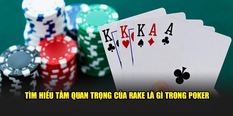 Tìm hiểu tầm quan trọng của Rake là gì trong Poker