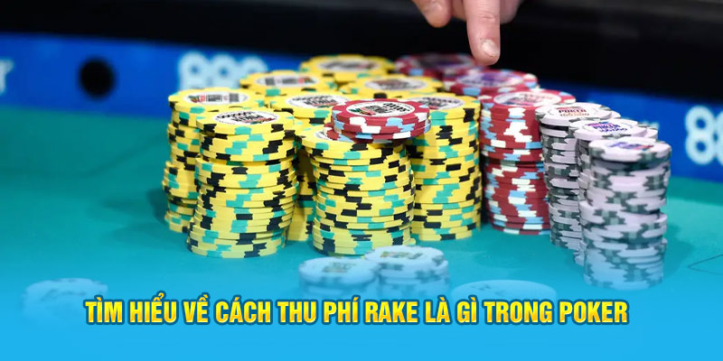 Tìm hiểu về cách thu phí rake là gì trong poker
