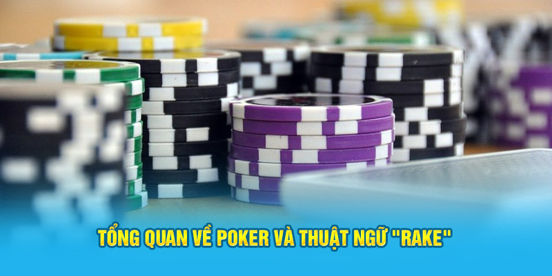 Tổng quan về poker và thuật ngữ "rake"