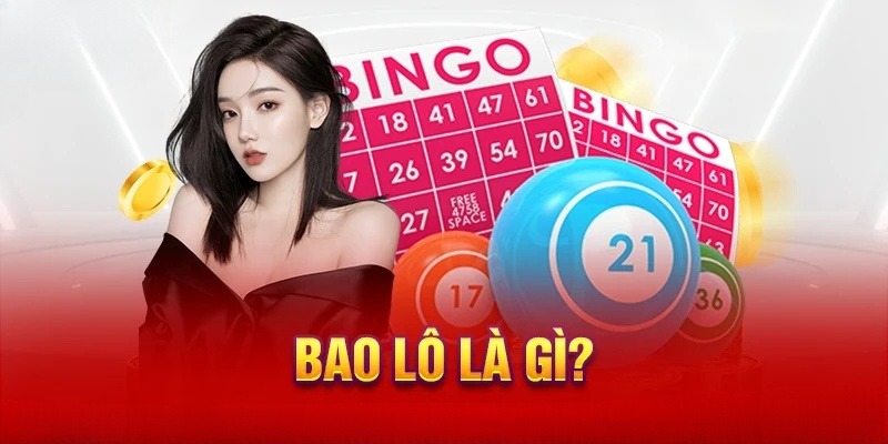 Định nghĩa giải thích cho “bao lô là gì?’