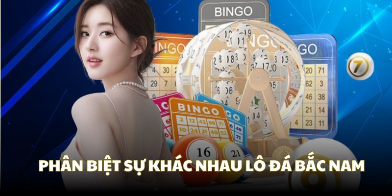 So sánh sự khác nhau giữa miền Nam và Bắc lô đá là gì