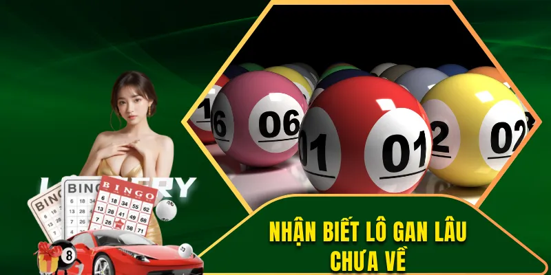 Cách nhận biết lô gan lâu chưa về là gì?